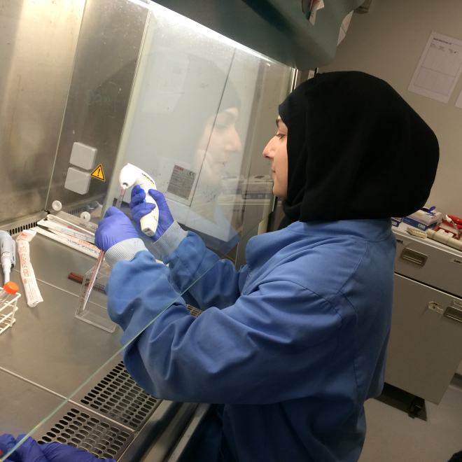 Blue coats are worn in tissue culture labs only, this prevents the cells from being exposed to dangerous chemicals we use in the lab. The hood provides a sterile environment.